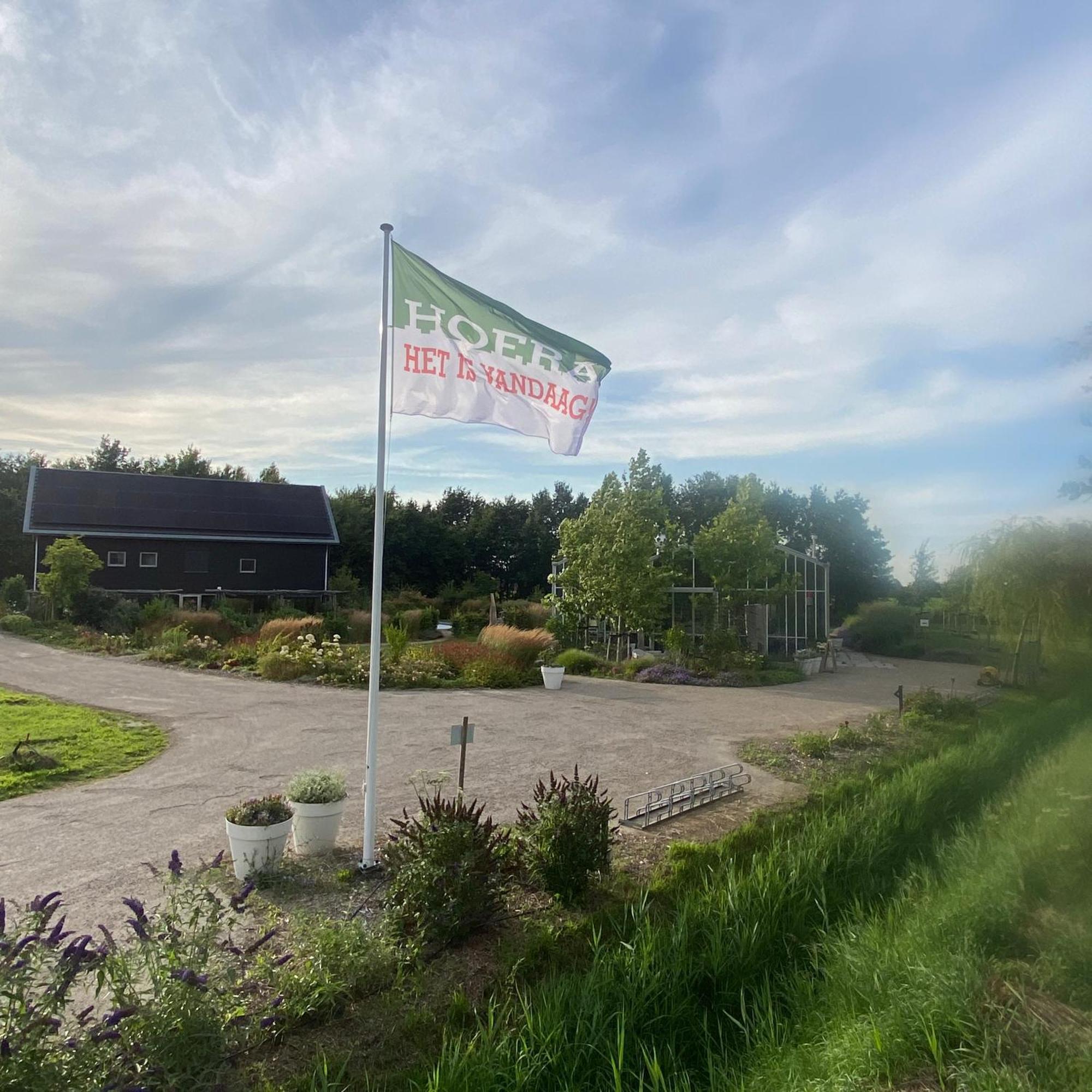 ホテル Onze Kas レリスタット エクステリア 写真